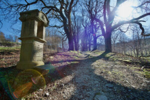 Weg zur St.-Vitus-Kapelle, Willebadessen