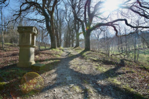 Weg zur St.-Vitus-Kapelle, Willebadessen