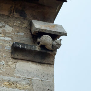 Die Steinfigur eines Eichhörnchens hockt unter der Dachkante eines Gebäudes und ist an der Ecke einer verwitterten Steinmauer befestigt. (Text mit KI erstellt)